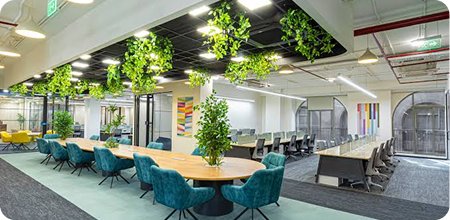 Corporate Offices