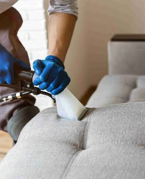 Upholstery Cleaning